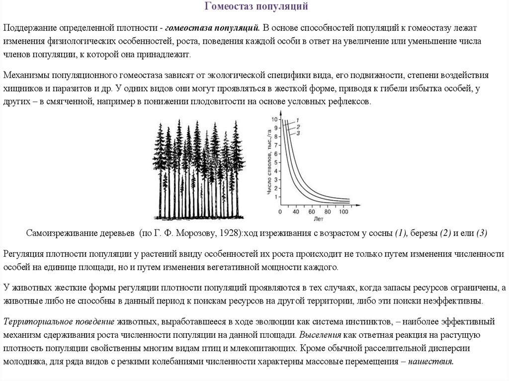 Ход численности. Механизмы регуляции гомеостаза популяции. Гомеостаз популяции это в экологии. Изменение и регуляция численности популяции. Плотность популяции пример.