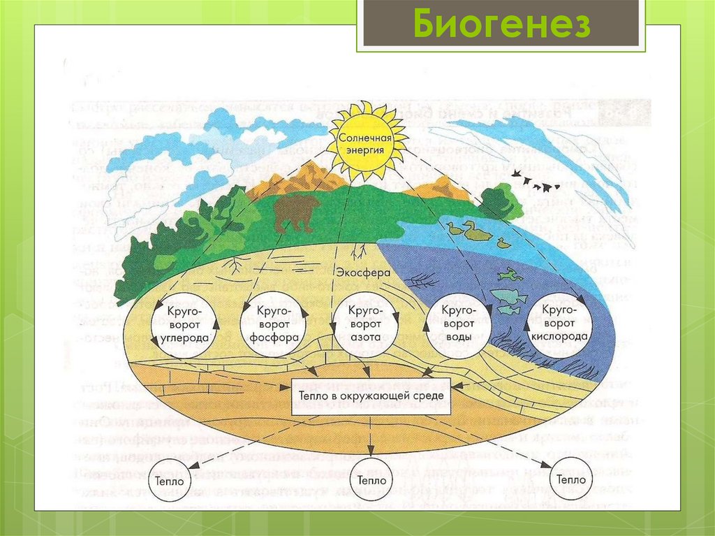 Биосфера презентация 9 класс биология. Эволюция биосферы биогенез. Ноогенез в эволюции биосферы. Презентация Эволюция климата. Эволюция биосферы презентация.