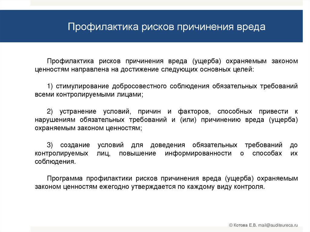 Профилактические риски. Профилактика рисков. Программа профилактики рисков. Профилактика опасностей. Профилактика рисков причинения вреда.