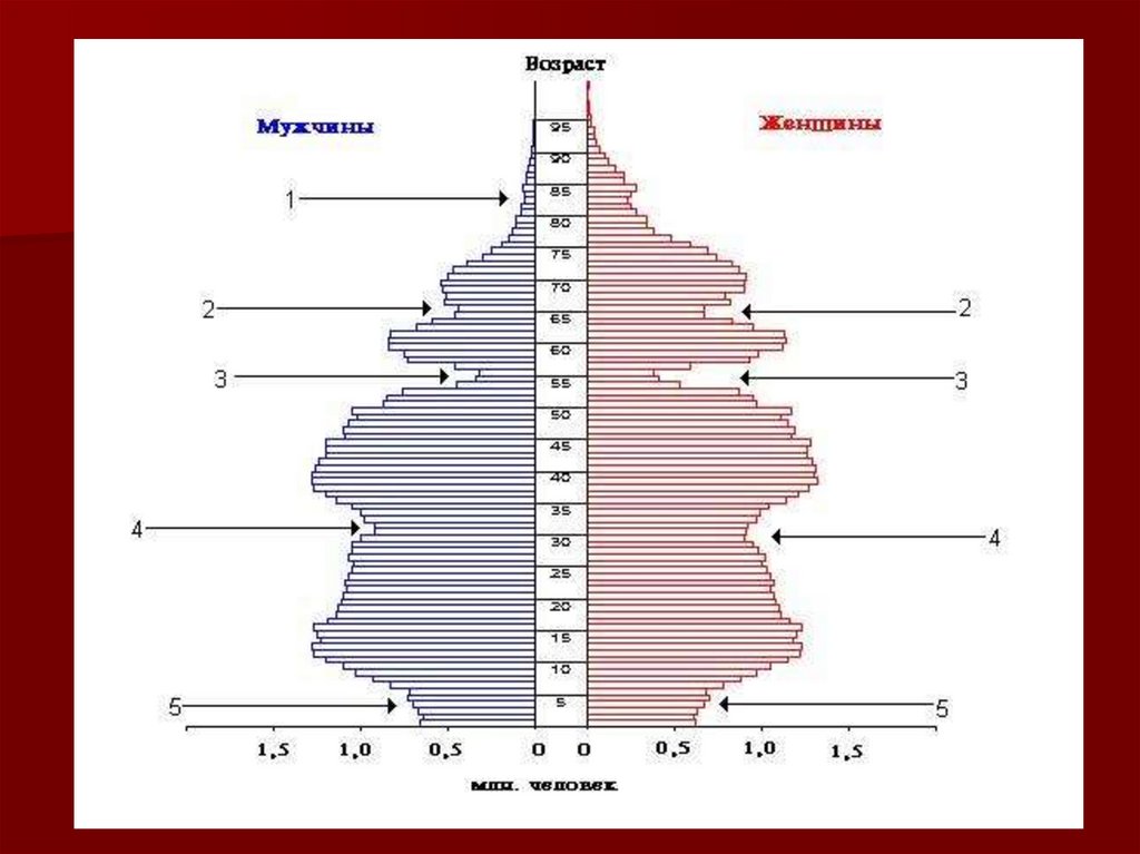 Возрастная пирамида. Половозрастная пирамида России 2010 года. Половозрастная пирамида России 2035. Половозрастная пирамида России 1987. Половозрастная пирамида 2035 года.