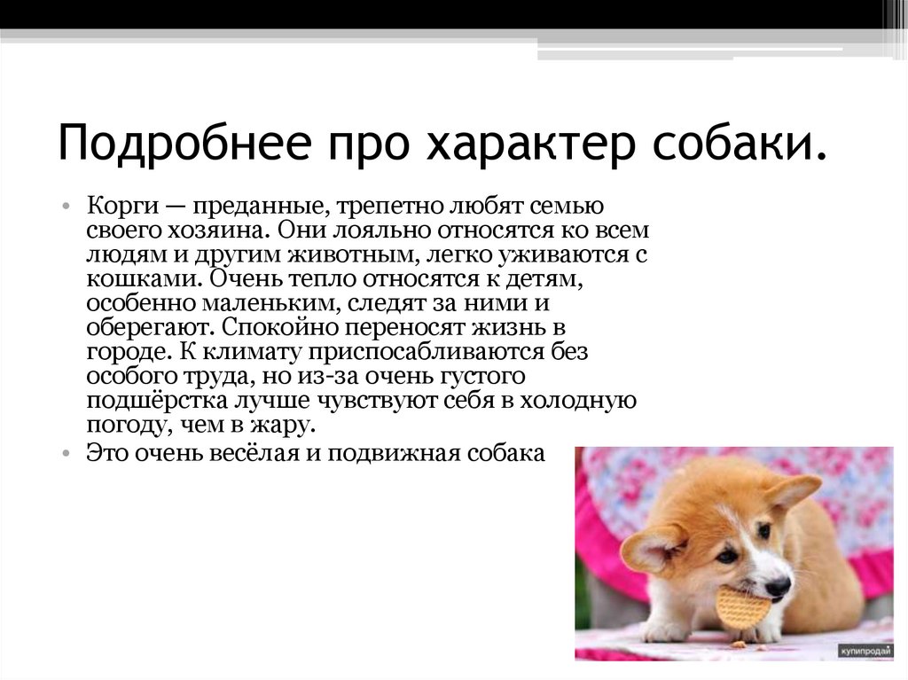 Почему изображенное на рисунке растение к корням которого не поступает воздух имеет угнетенный вид