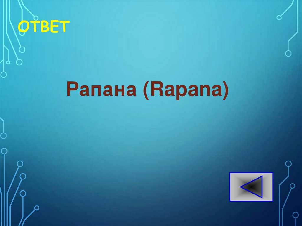 ОТВЕТ