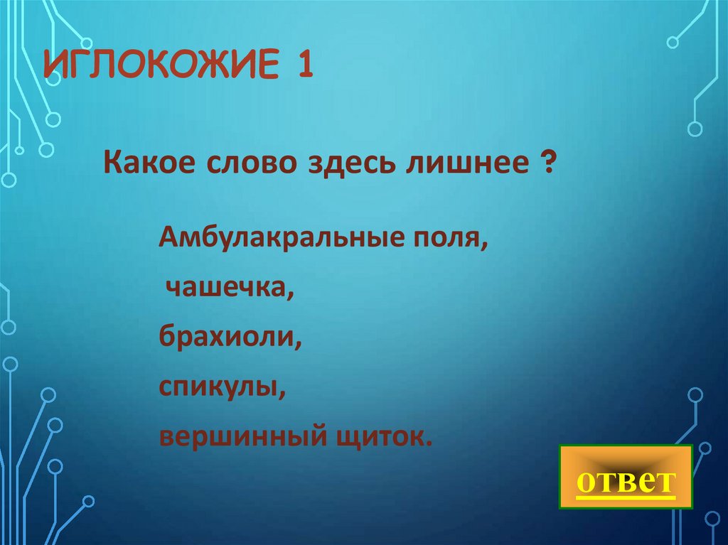 Иглокожие 1