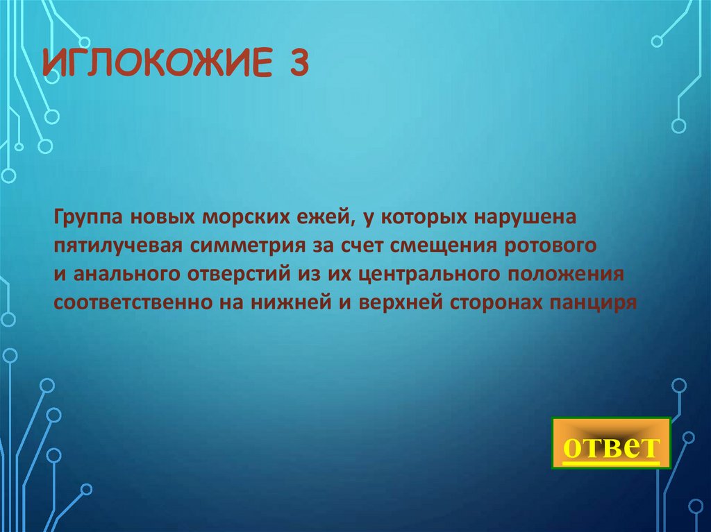 иглокожие 3