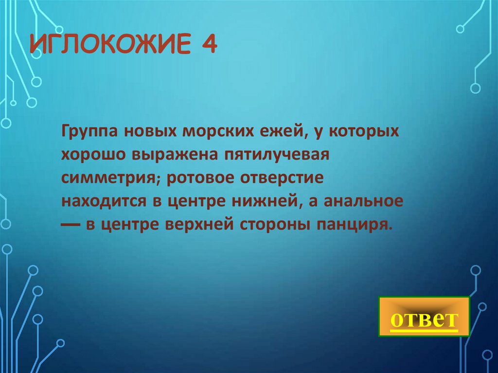 иглокожие 4