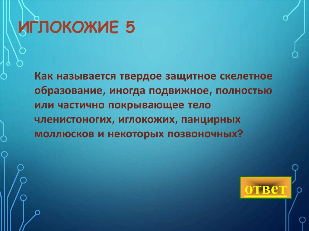 иглокожие 5