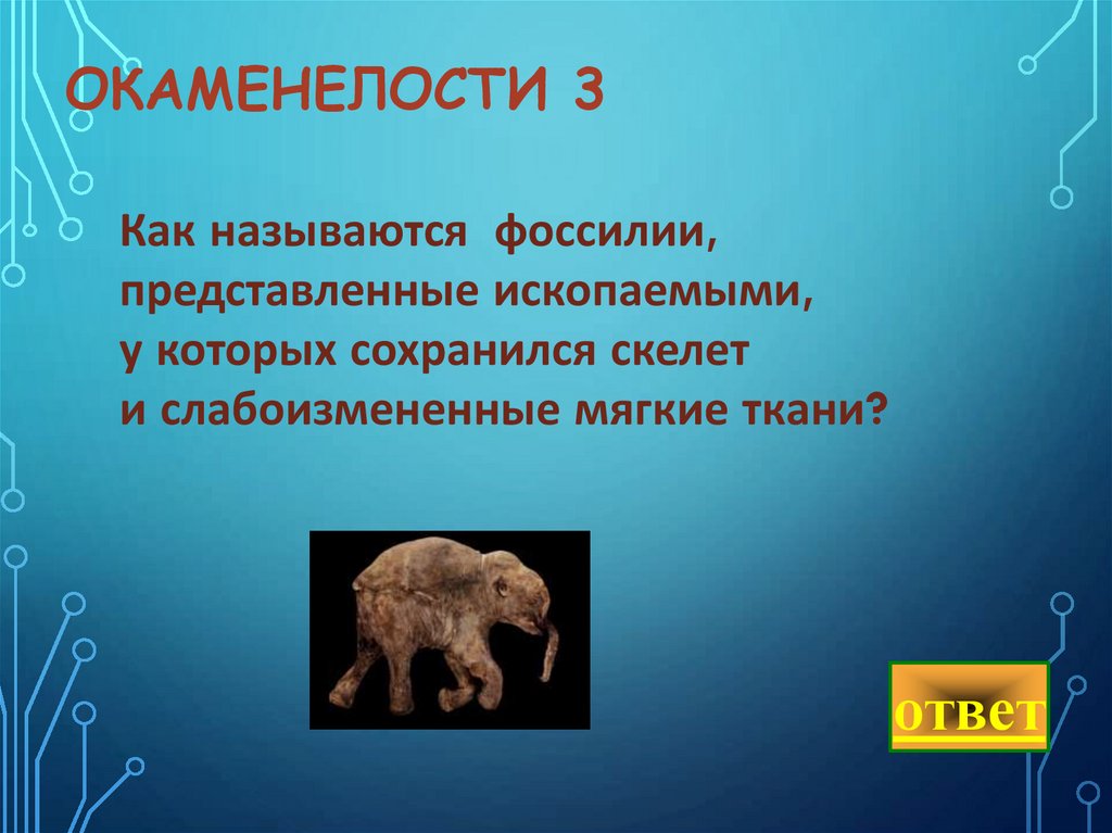 Окаменелости 3