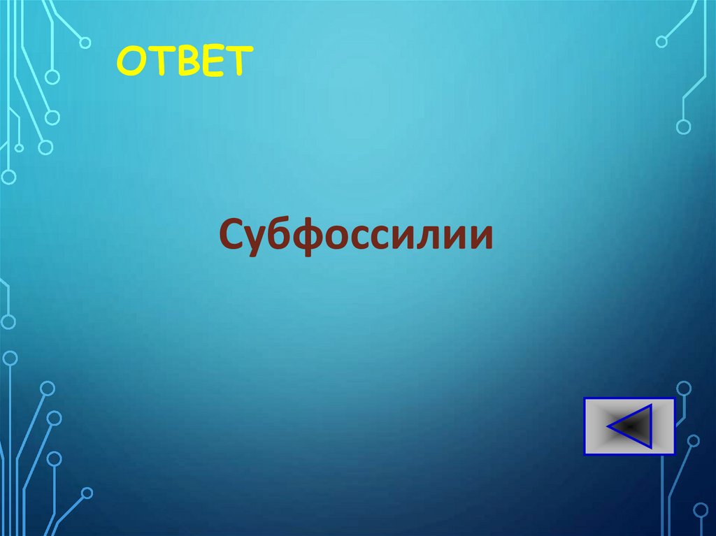 ОТВЕТ