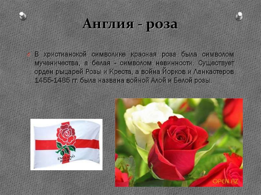 Что означает розовое красное. Символ красной и белой розы в Англии. Символы Англии.
