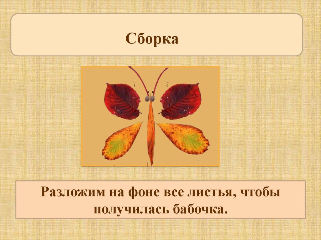 Технология лист. Композиция из листьев для 1 класса бабочка. Бабочка из листьев 1 класс технология. Урок по технологии 1 класс бабочка. Бабочка из листьев 1 класс презентация.