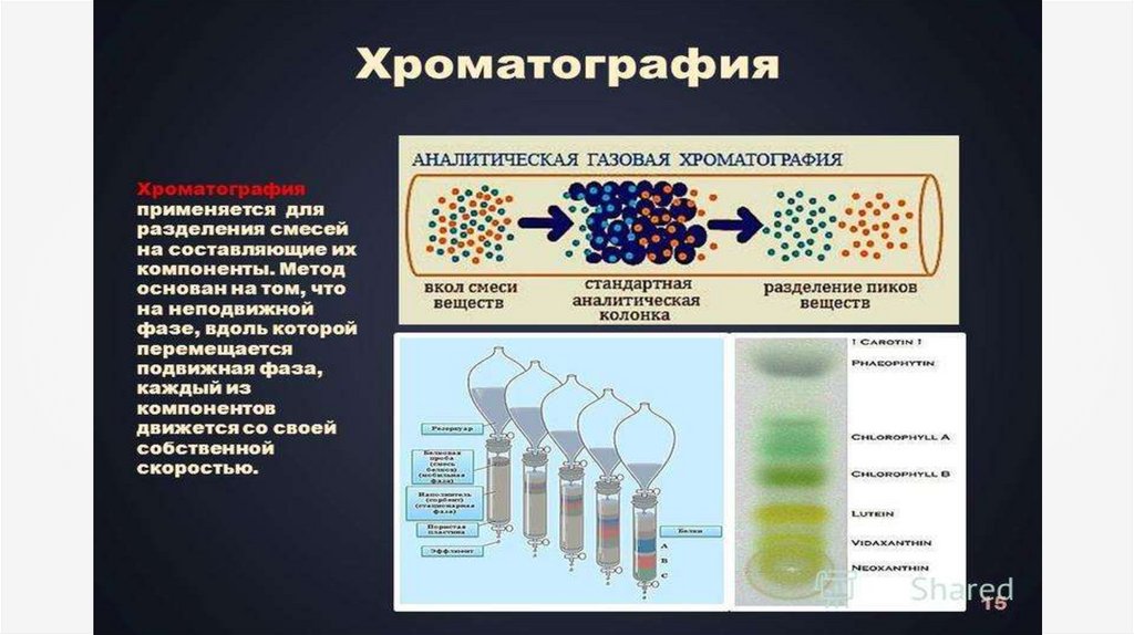 Фильтрация структурные единицы. Структурно-функциональная единица живых организмов. Основная структурная и функциональная единица живых организмов. Структурно-функциональная характеристика половых клеток человека. Гваяцилпропановые структурные единицы.