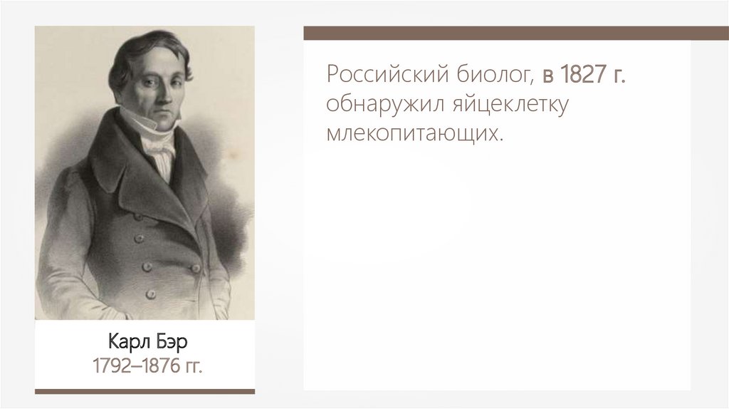 Бэр это. Карл Бэр яйцеклетка. Карл Максимович (1827-1891). Бэр открыл яйцеклетку. К.М.Бэр (1792-1876).