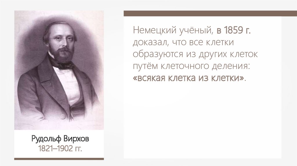 Докажите что клетка. Рудольф Вирхов 1859. Доказал, что клетки образуются путем деления. Рудольф Вирхов доказал что все клетки образуются. Кто доказал что все клетки образуются путем деления.