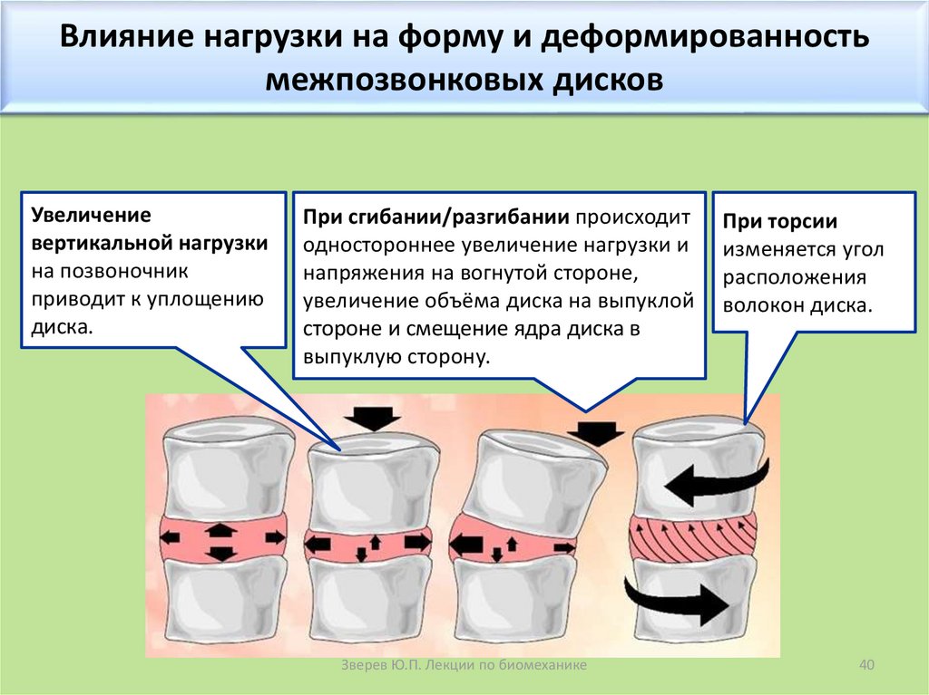 Действие нагрузки