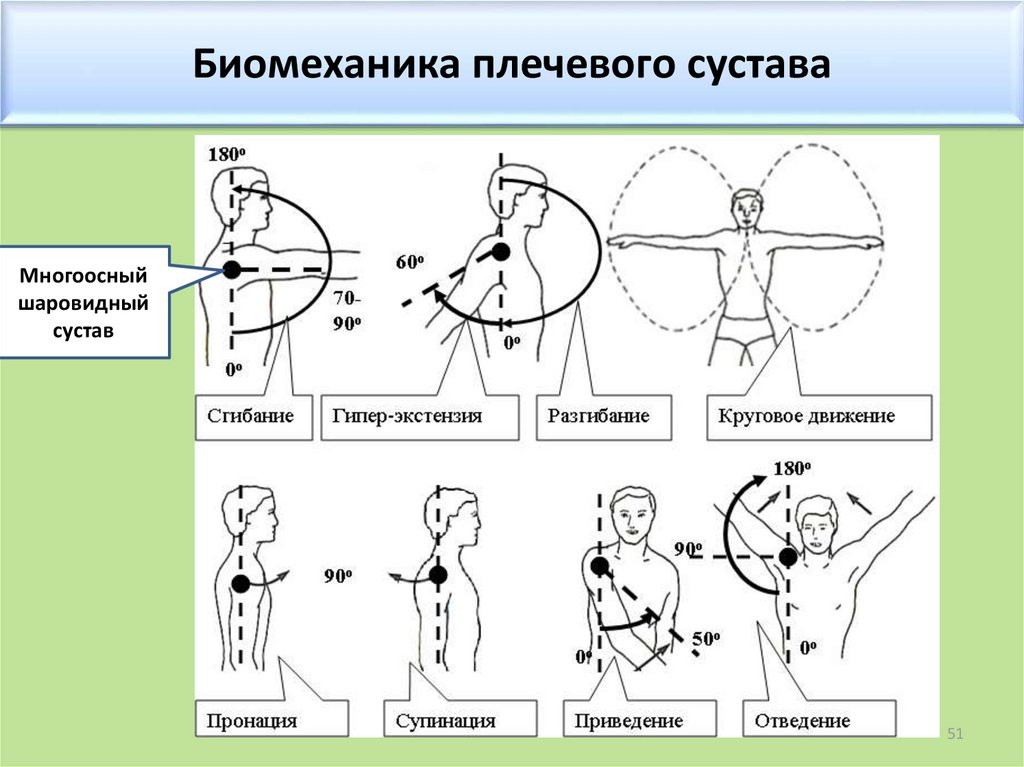 Вертикальная ось упражнения. Плечевой сустав биомеханика движения. Диапазон движений в плечевом суставе. Сгибание разгибание отведение приведение в плечевом суставе. Отведение в плечевом суставе.