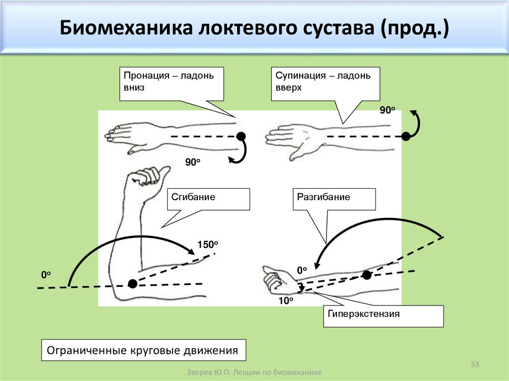 Прикладная биомеханика