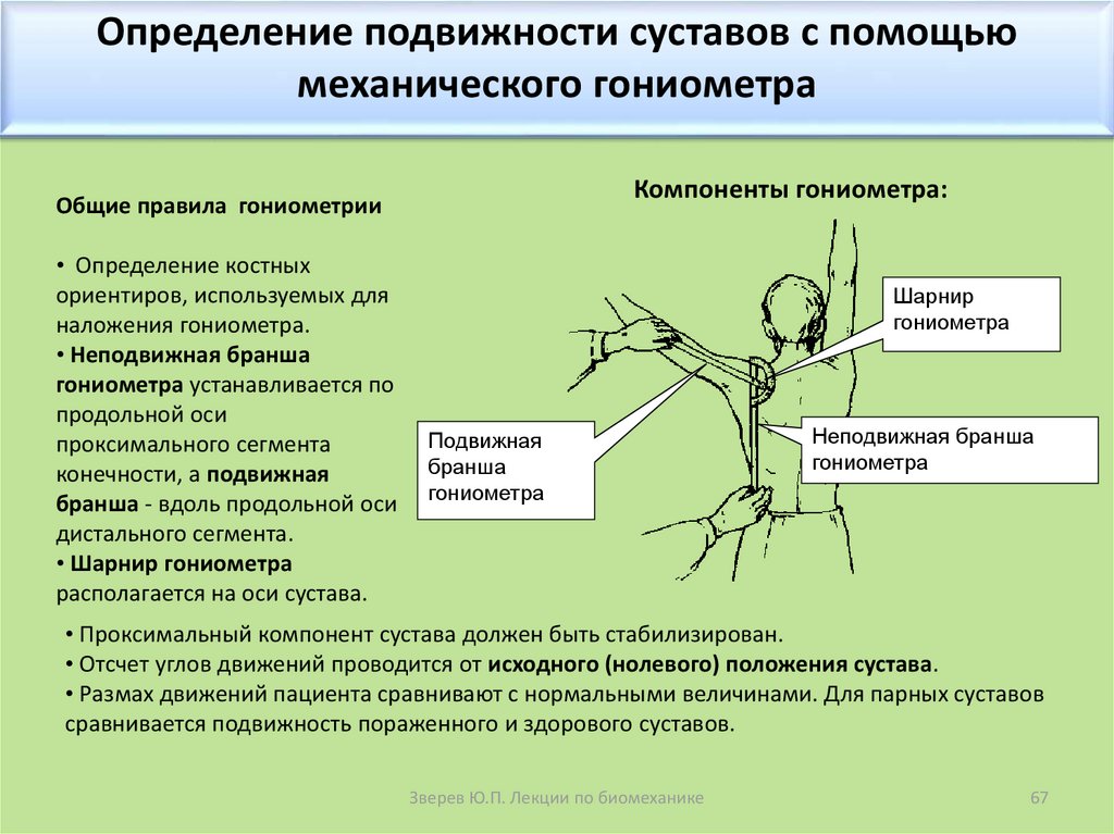 Положения суставов