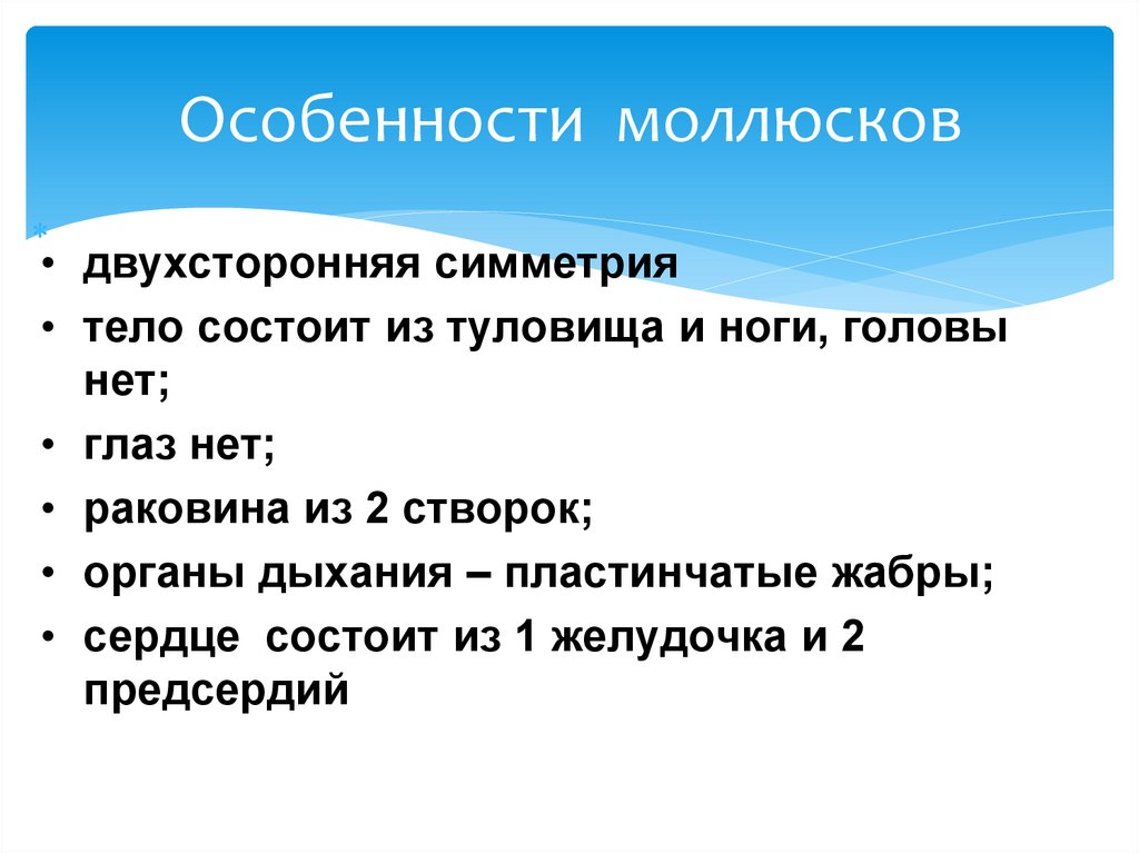 Особенности моллюсков