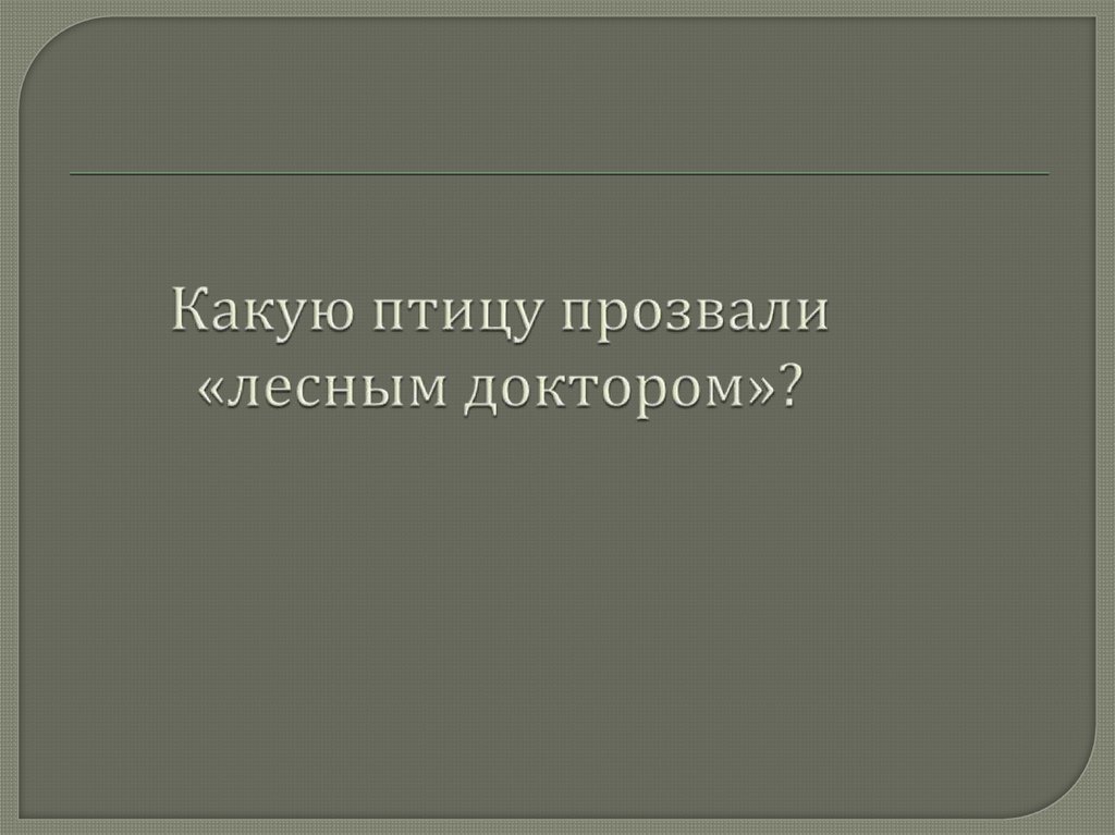 Какую птицу прозвали «лесным доктором»?
