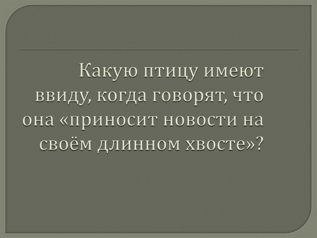 Какую птицу имеют ввиду, когда говорят, что она «приносит новости на своём длинном хвосте»?