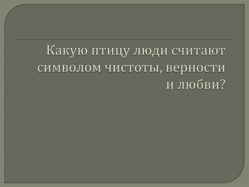Какую птицу люди считают символом чистоты, верности и любви?