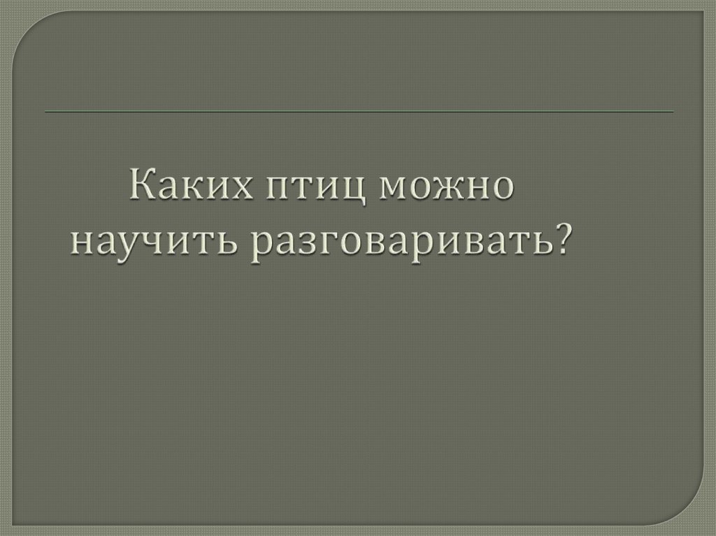 Каких птиц можно научить разговаривать?