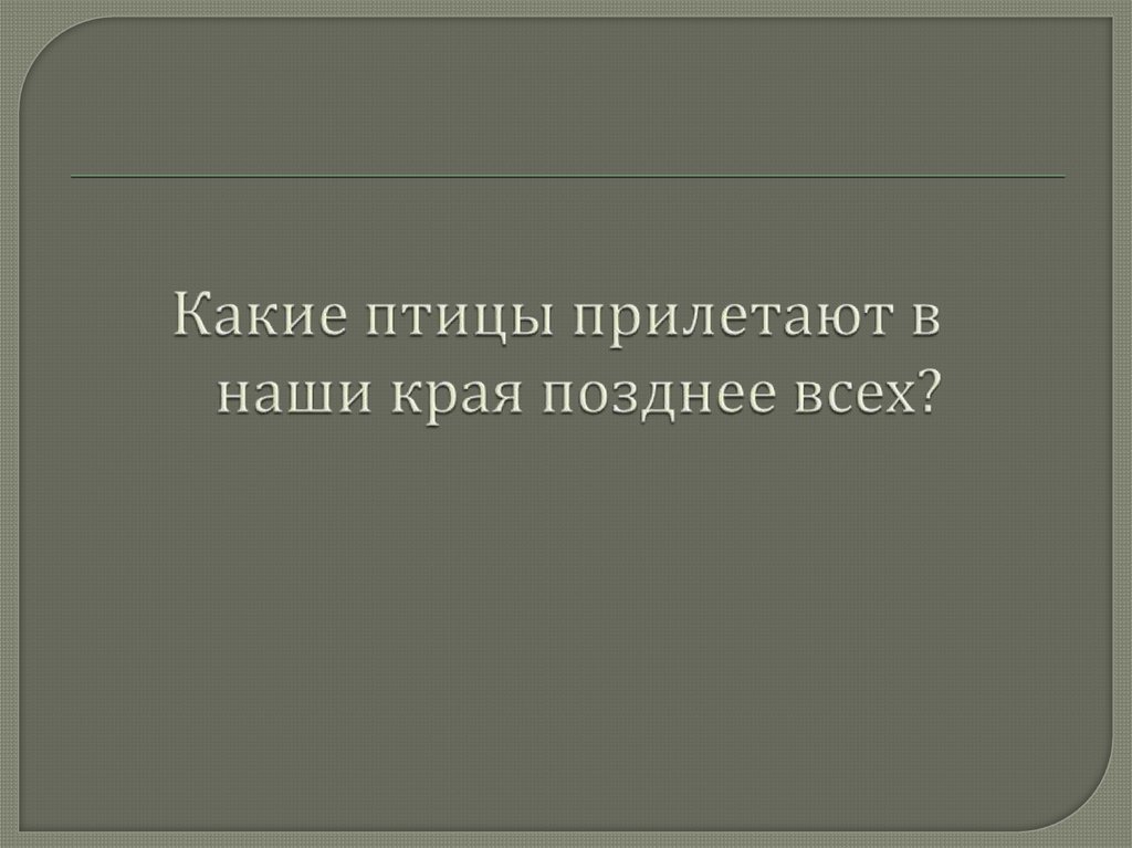 Какие птицы прилетают в наши края позднее всех?