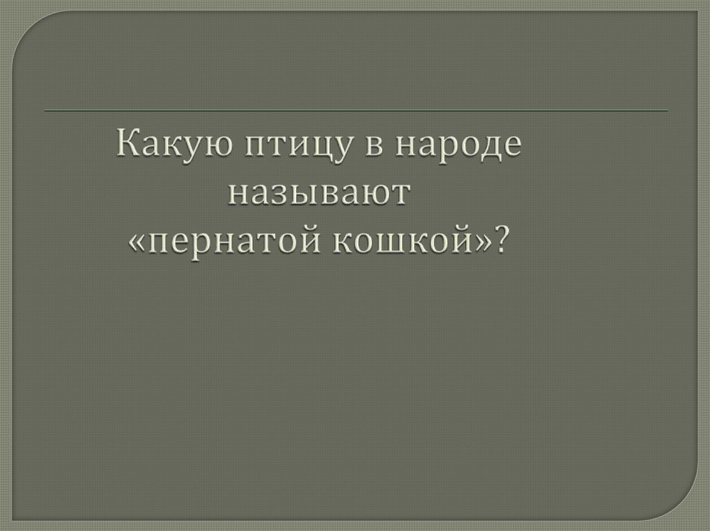 Какую птицу в народе называют «пернатой кошкой»?