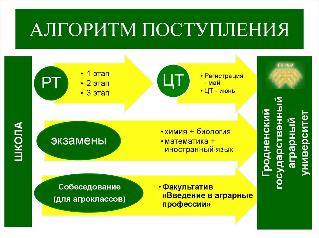 Преимущества обучения в классе. Преимущества обучения в игровой форме. Алгоритм поступления в институт.