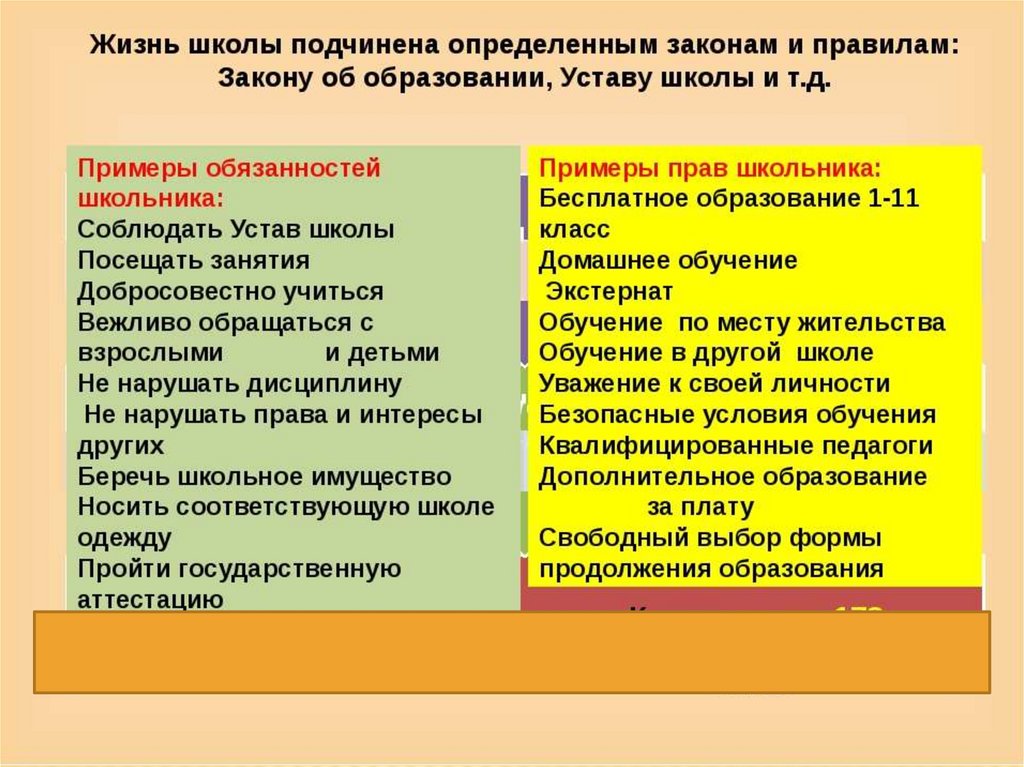 Ступени образования обществознание 6 класс схема