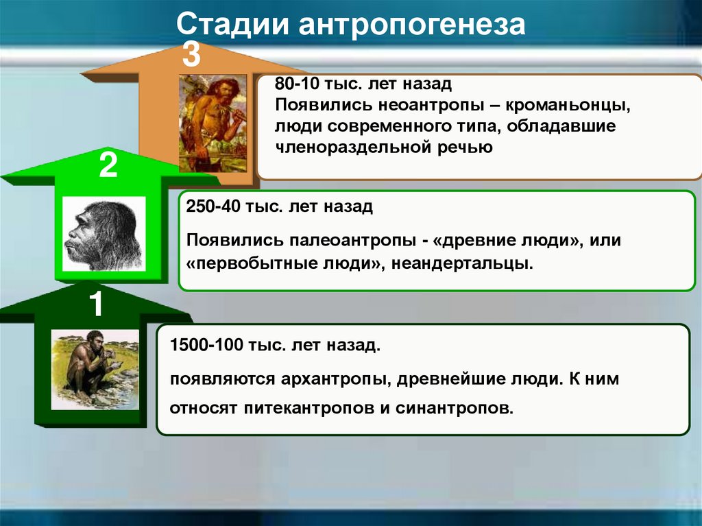 Понятия антропогенеза и социогенеза. Участники Восстания Емельяна Пугачева. Вотчинники и помещики. Временные рамки существования древнейших людей архантропов. Причины Восстания работных людей.