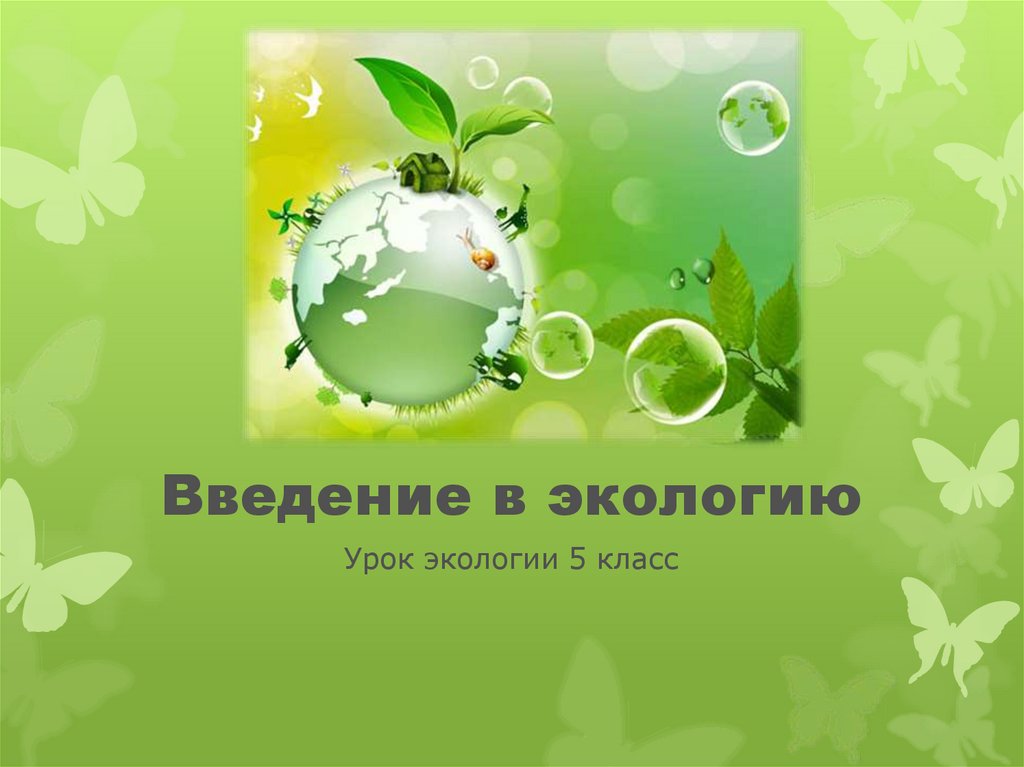 Экология 5. Экология 5 класс. Занятия по экологии 5 класс. Урок экологии в 5 классе простые советы по экологии.