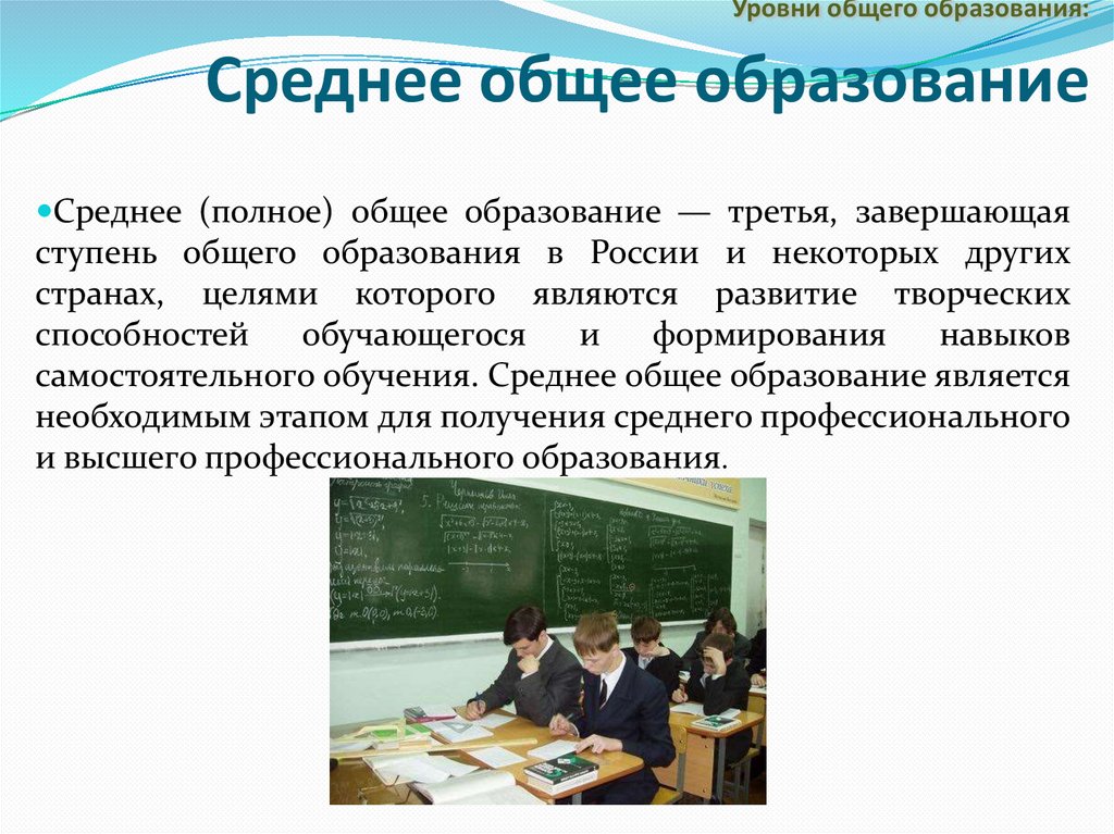 Организация профессионального обучения в россии