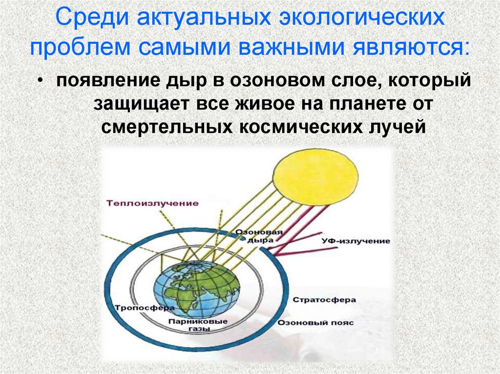 Выберите на схеме процессы связанные с озоновым поясом планеты