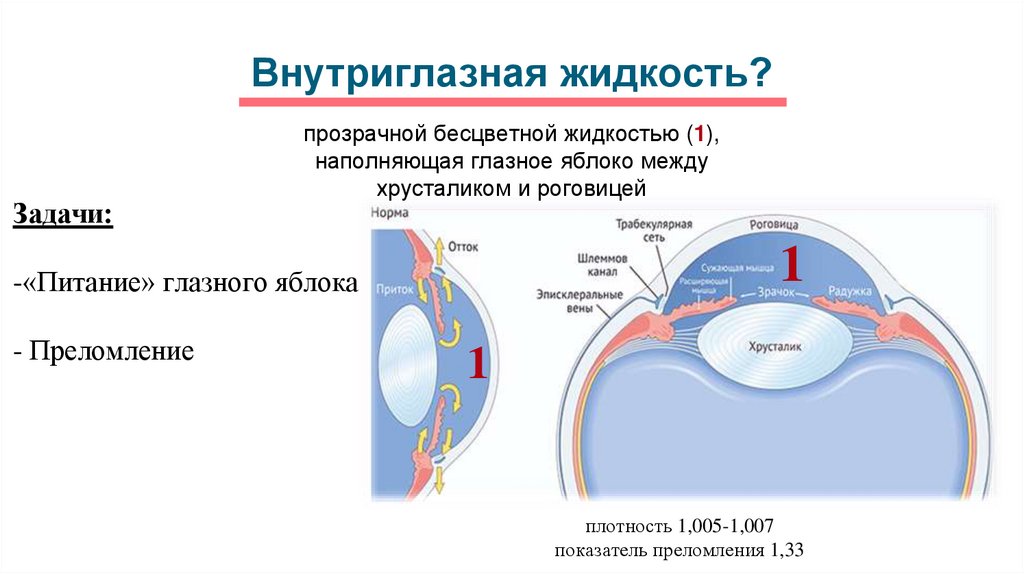 Схема оттока внутриглазной жидкости