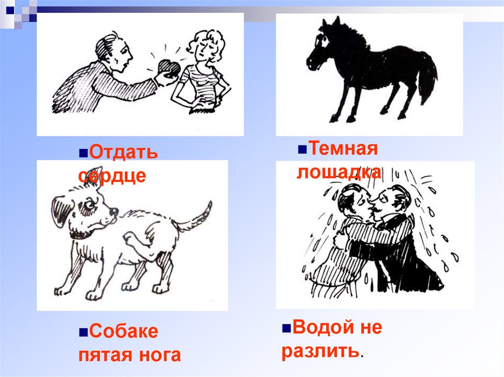 Сени фразеологизм. Фразеологизмы про собаку. Фразеологизм как собаке пятая нога. Как собаке пятая нога. Фразеологизм нужен как собаке пятая нога.