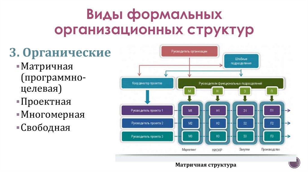 Органические структуры