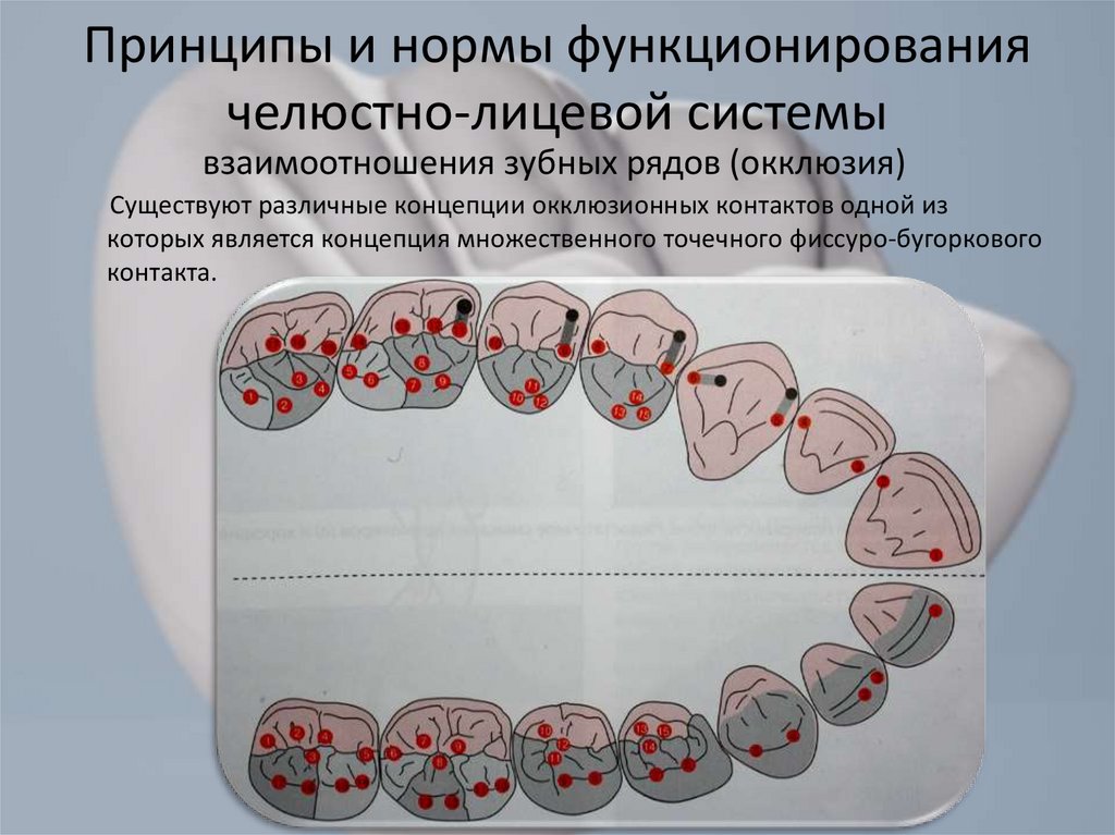 Диагностика окклюзии