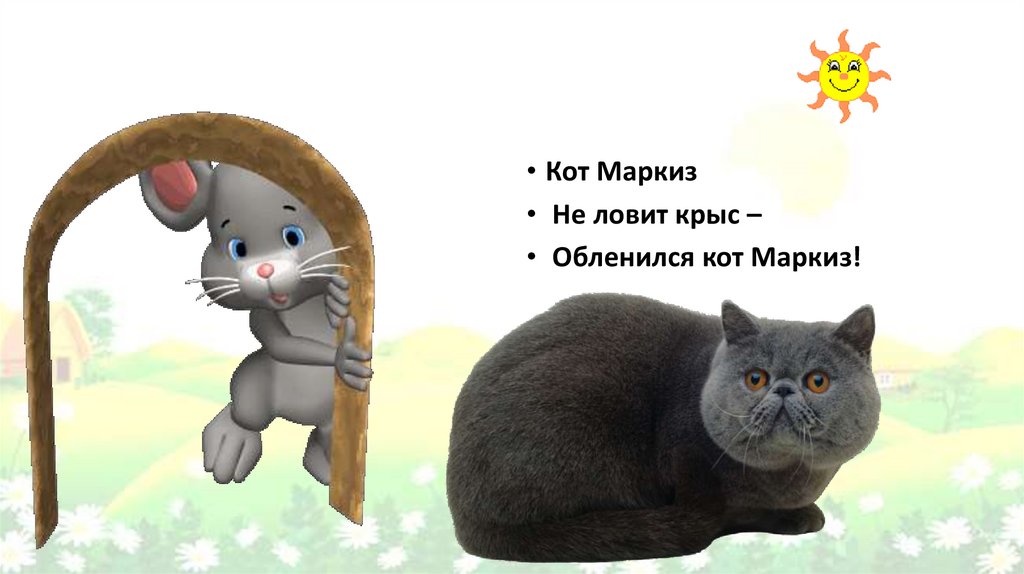 Кем стал кот когда маркиз женился. Кот Маркиз. Имя Маркиз для кота значение.