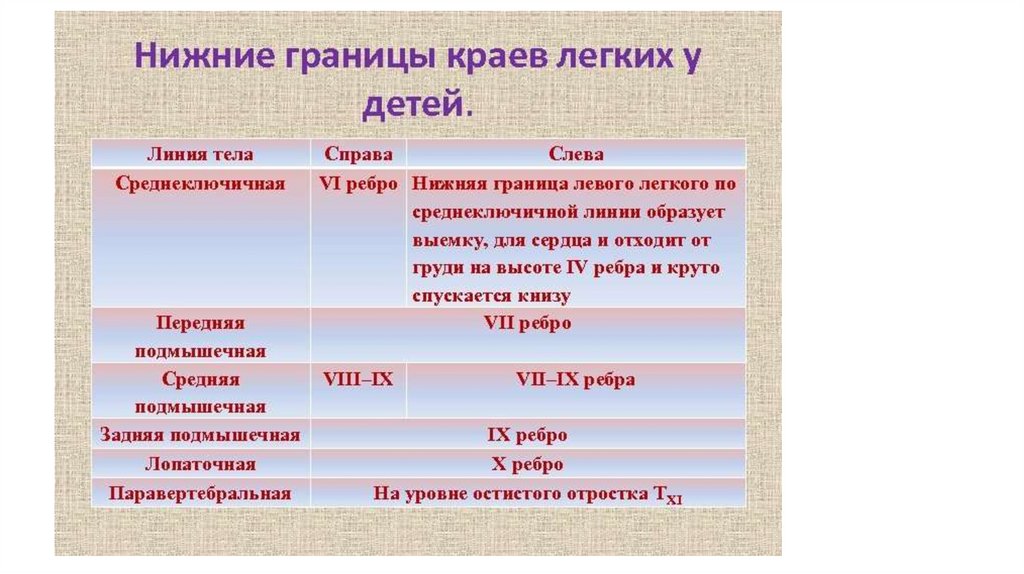 Верхние и нижние границы легких в грудной клетке. Верхняя граница легких спереди находится. Расположение нижних границ легких. Нижняя граница легких по средней подмышечной линии. Нижняя граница легких.
