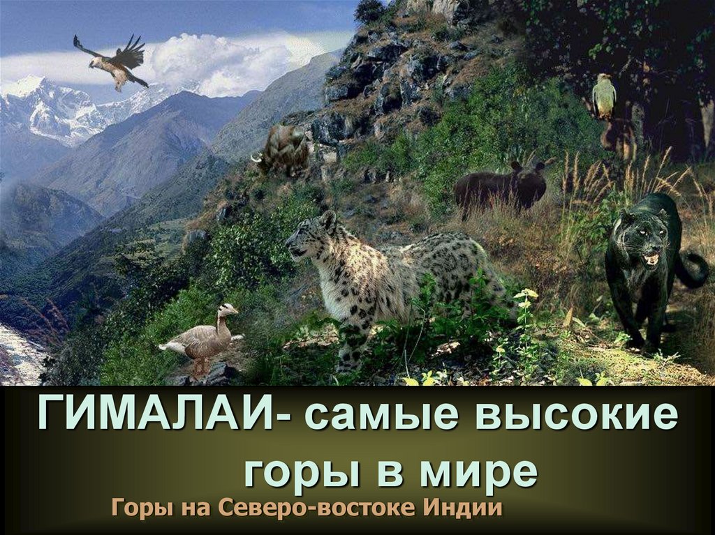 ГИМАЛАИ- самые высокие горы в мире