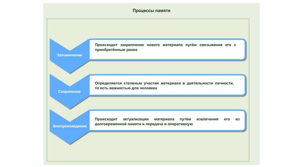 Презентация память 9 класс