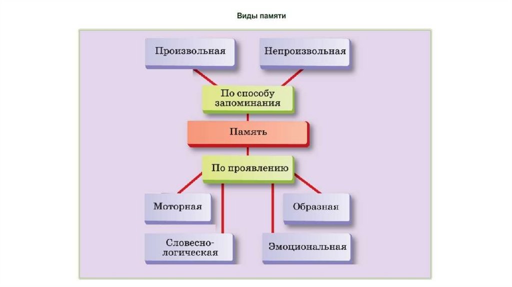 Презентация память 9 класс