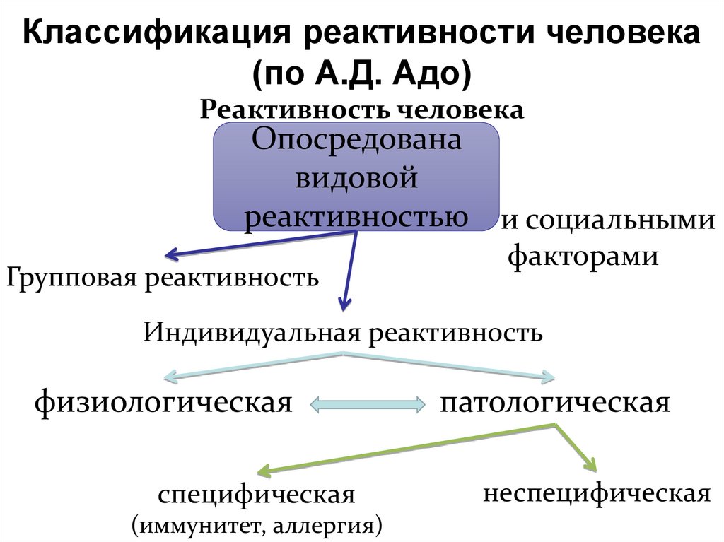 Реактивность причины