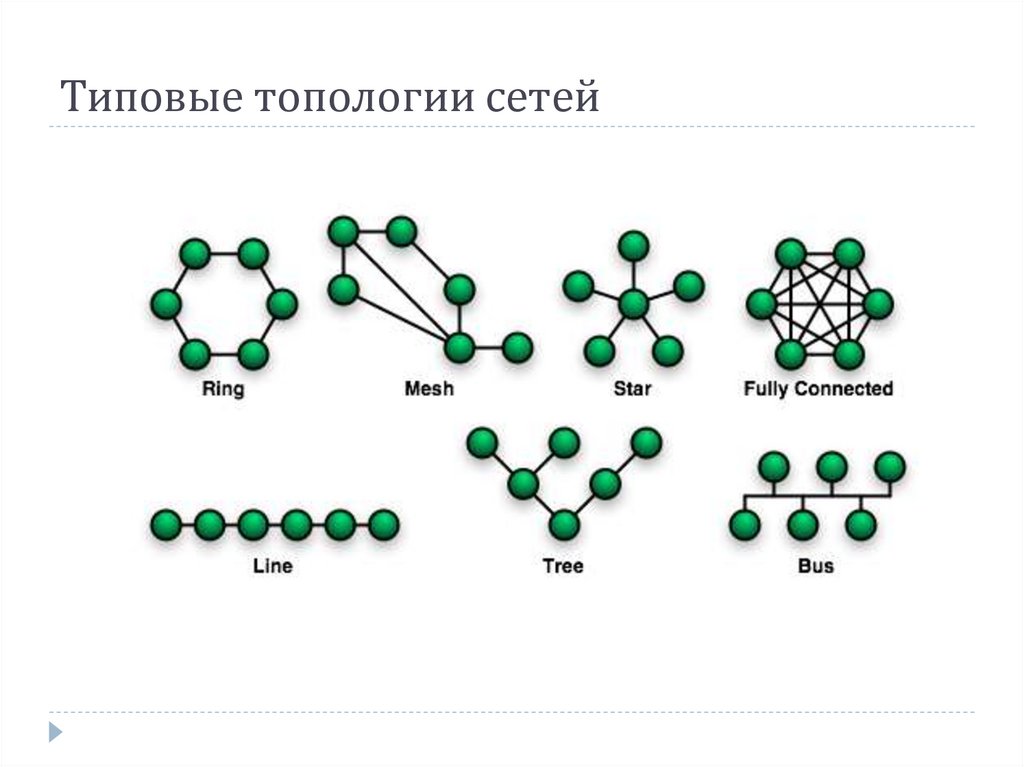 Типовые топологии сетей