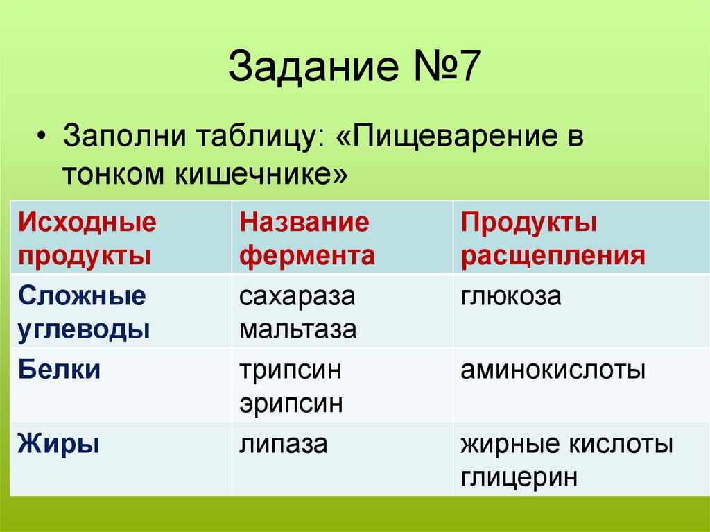 Таблица пищеварение в кишечнике всасывание питательных веществ