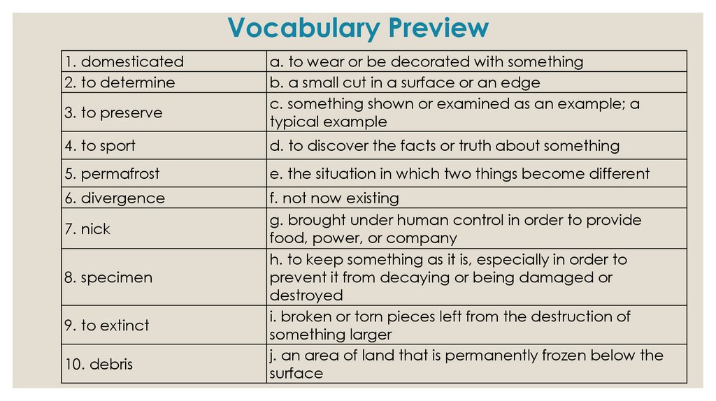 Archaeology. Vocabulary Preview - online presentation