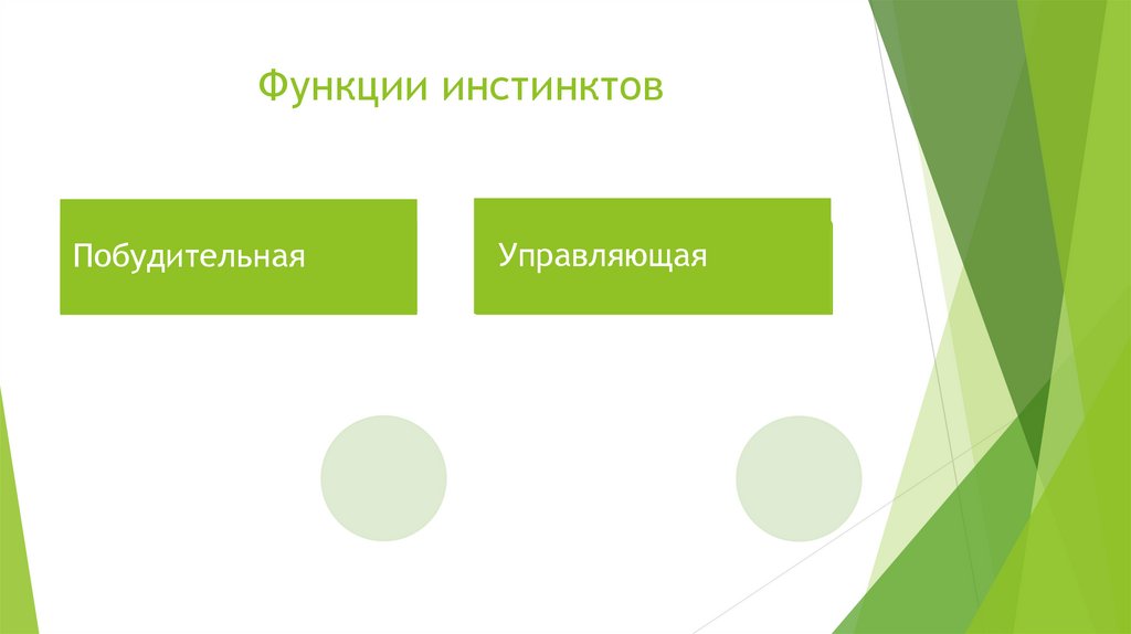 Функции инстинктов