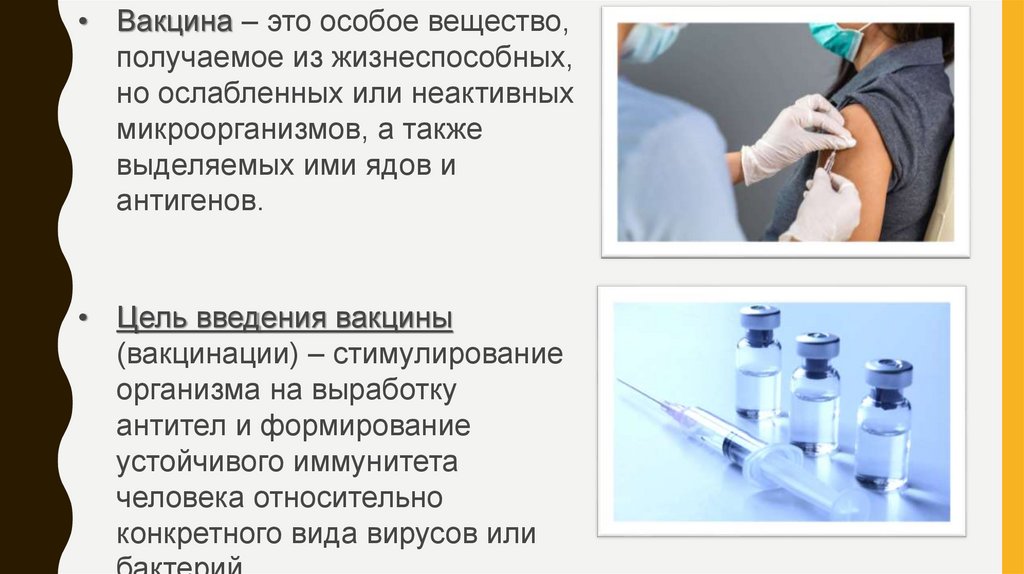 Микробиология - презентация онлайн