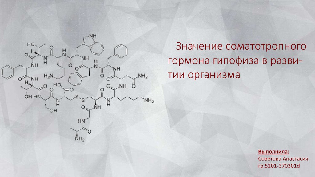 Гормон сжигающий жир. Соматотропный гормон аденогипофиза. Избыток соматотропного гормона. Соматотропный гормон интересные факты. Точка приложения соматотропного гормона.